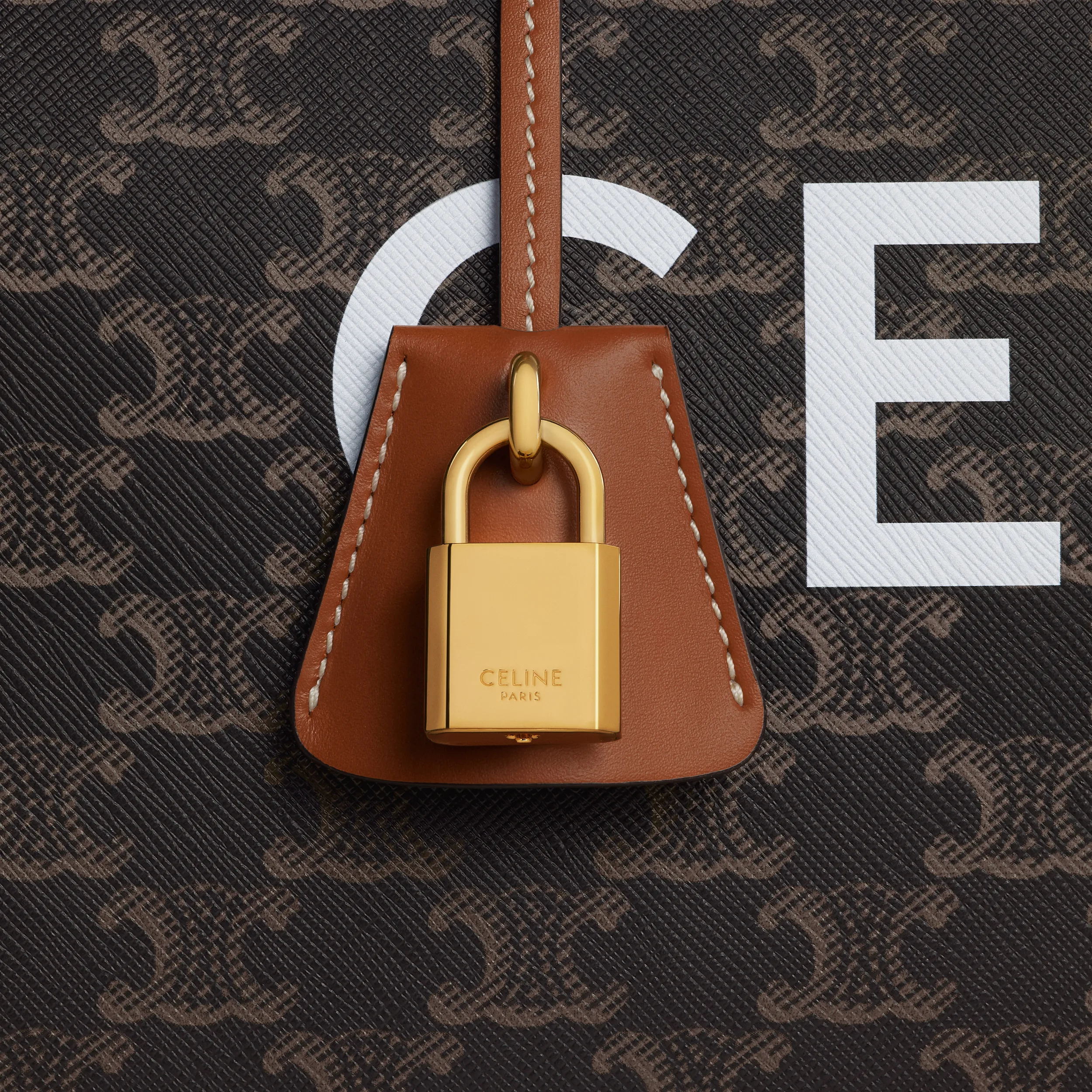 Large Voyage bag in Triomphe Canvas with Print
