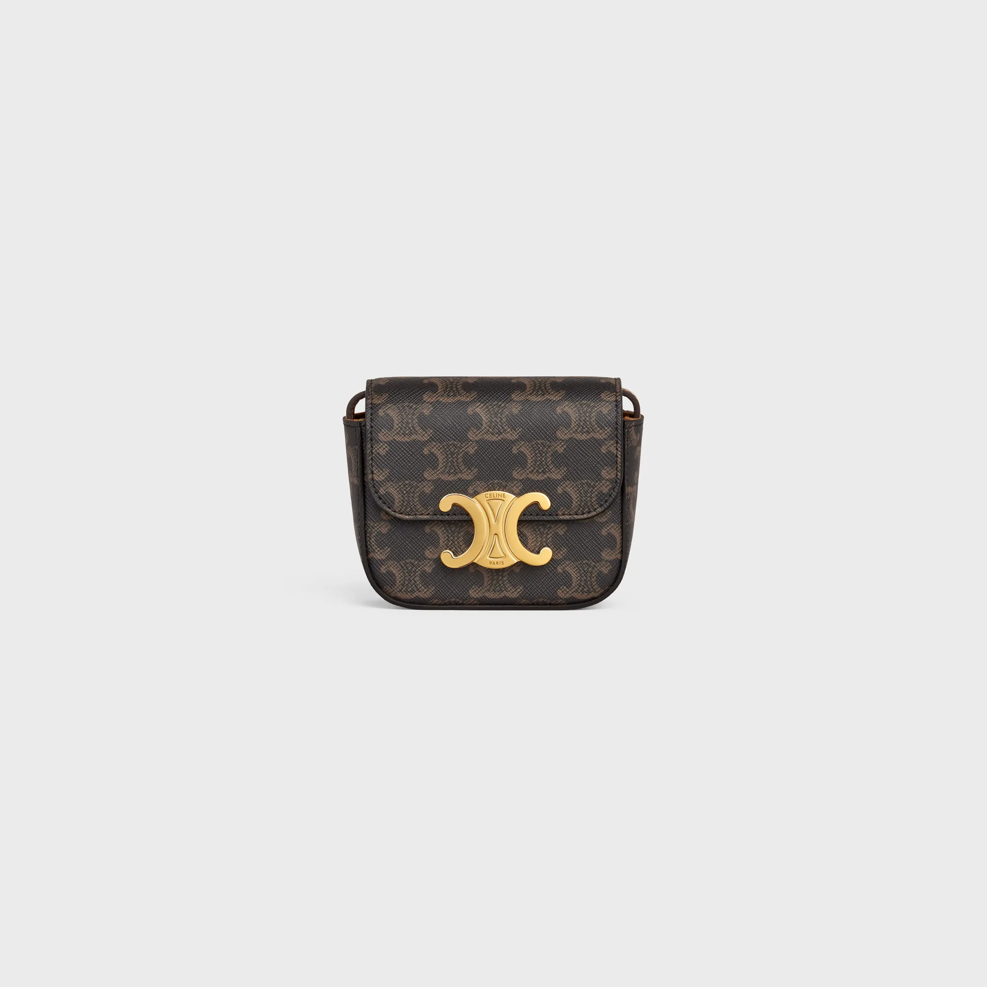 MINI CLAUDE in TRIOMPHE CANVAS and calfskin