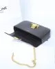 CELINE CLAUDE shiny cowhide leather chain shoulder bag
