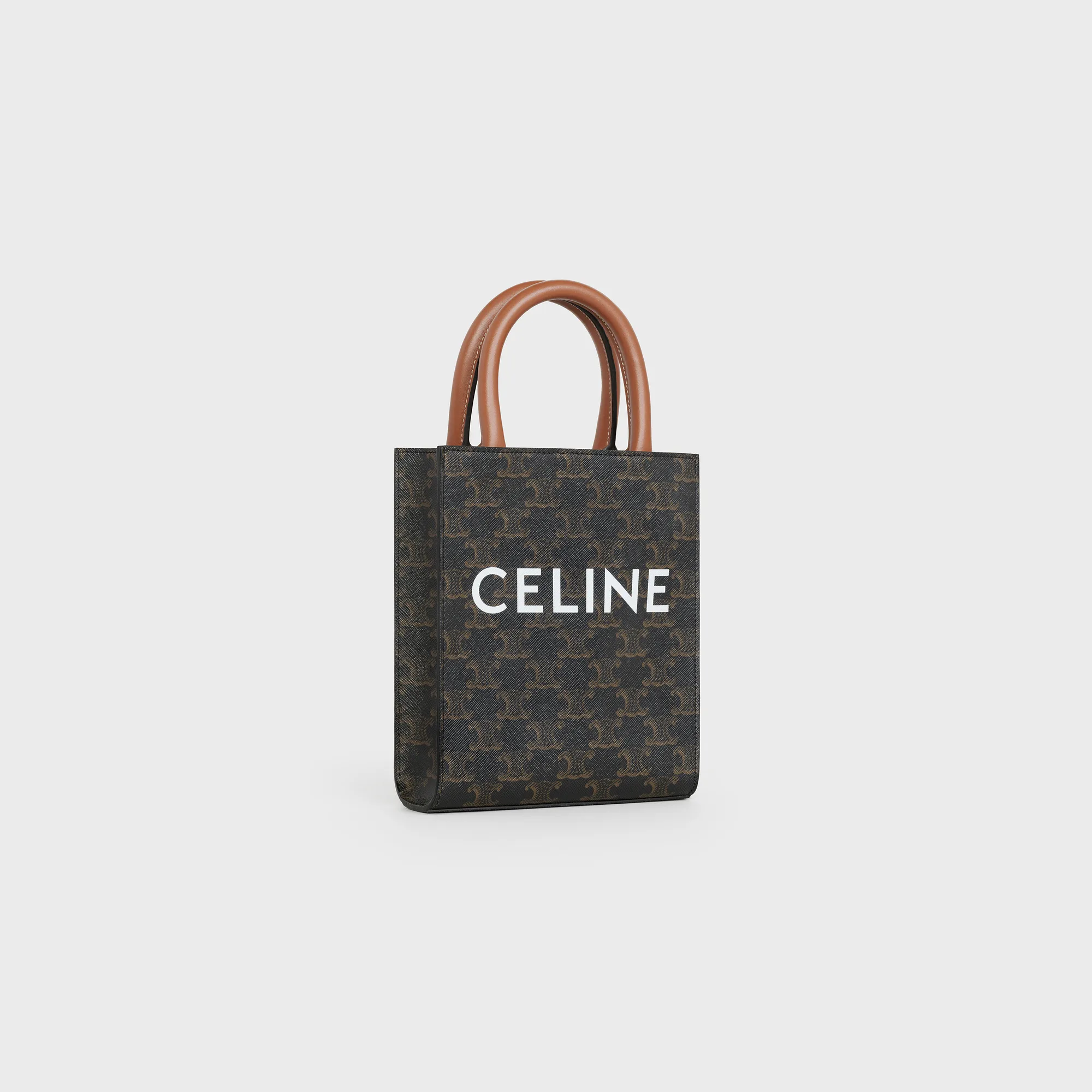 Mini Vertical Cabas in Triomphe Canvas and calfskin with print