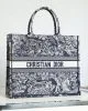 LARGE DIOR BOOK TOTE