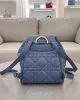 Medium Dior Caro Backpack(High-end Grade)