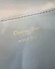 Medium Dior Caro Backpack(High-end Grade)