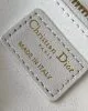 Mini Lady Dior Bag