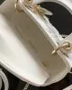 Mini Lady Dior Bag