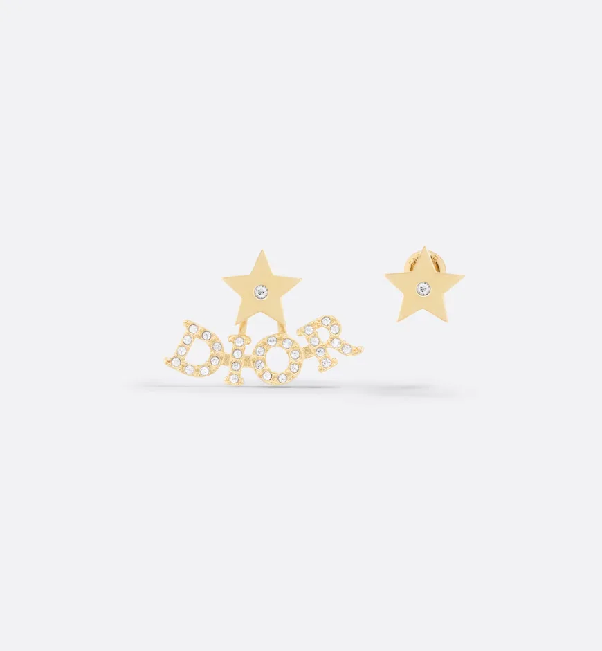Evolution Earrings