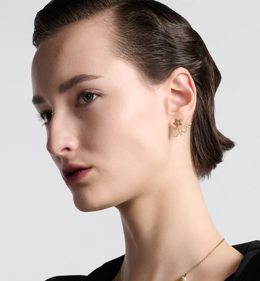 Evolution Earrings