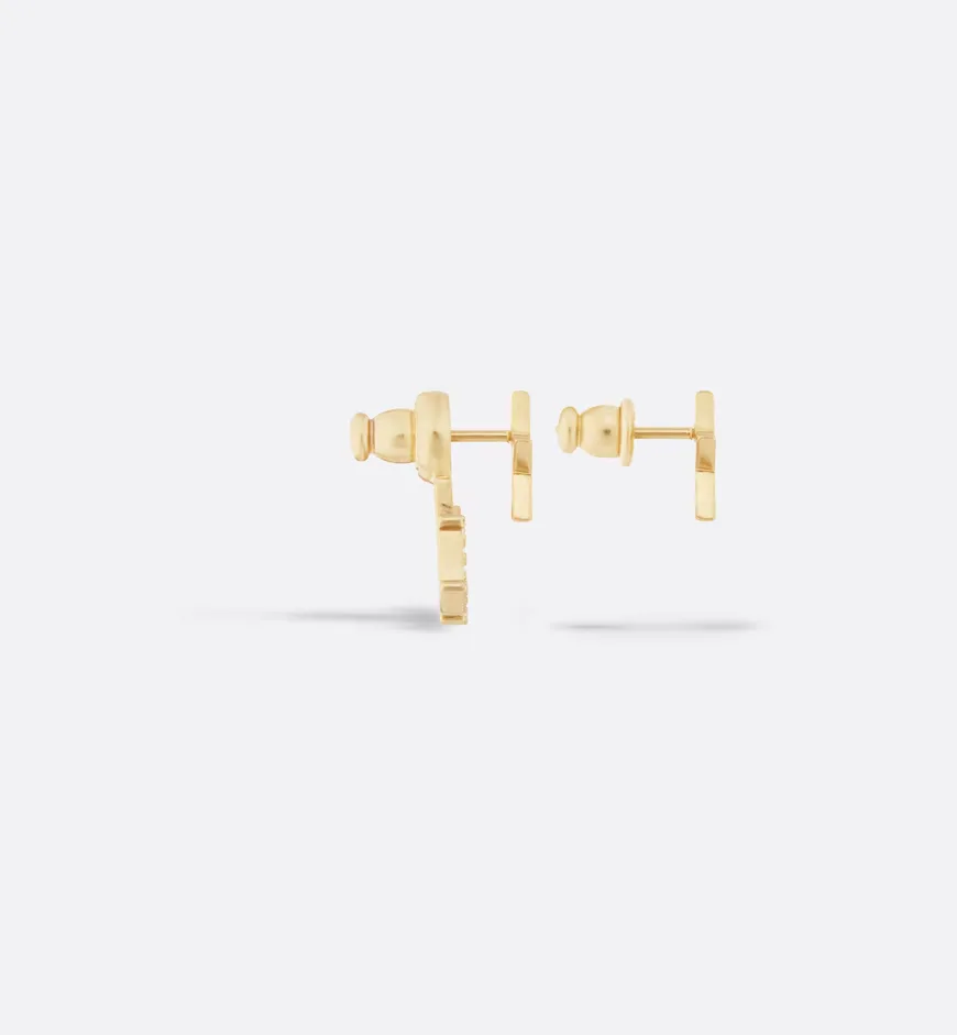 Evolution Earrings