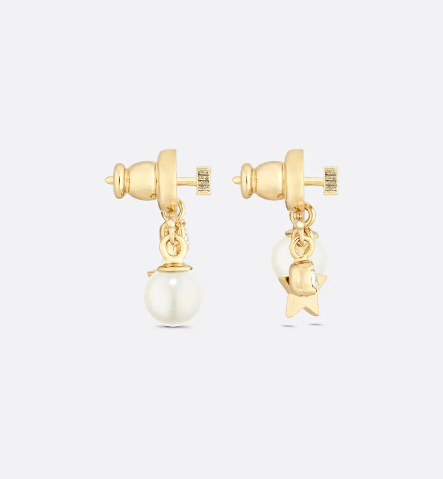 Evolution Earrings