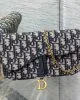 Dior Saddle Pouch with Chain