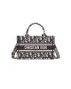 Mini Dior Book Tote