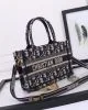Mini Dior Book Tote