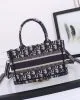 Mini Dior Book Tote