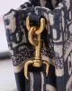 Mini Dior Book Tote