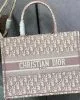 SMALL DIOR BOOK TOTE
