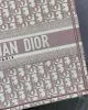 SMALL DIOR BOOK TOTE
