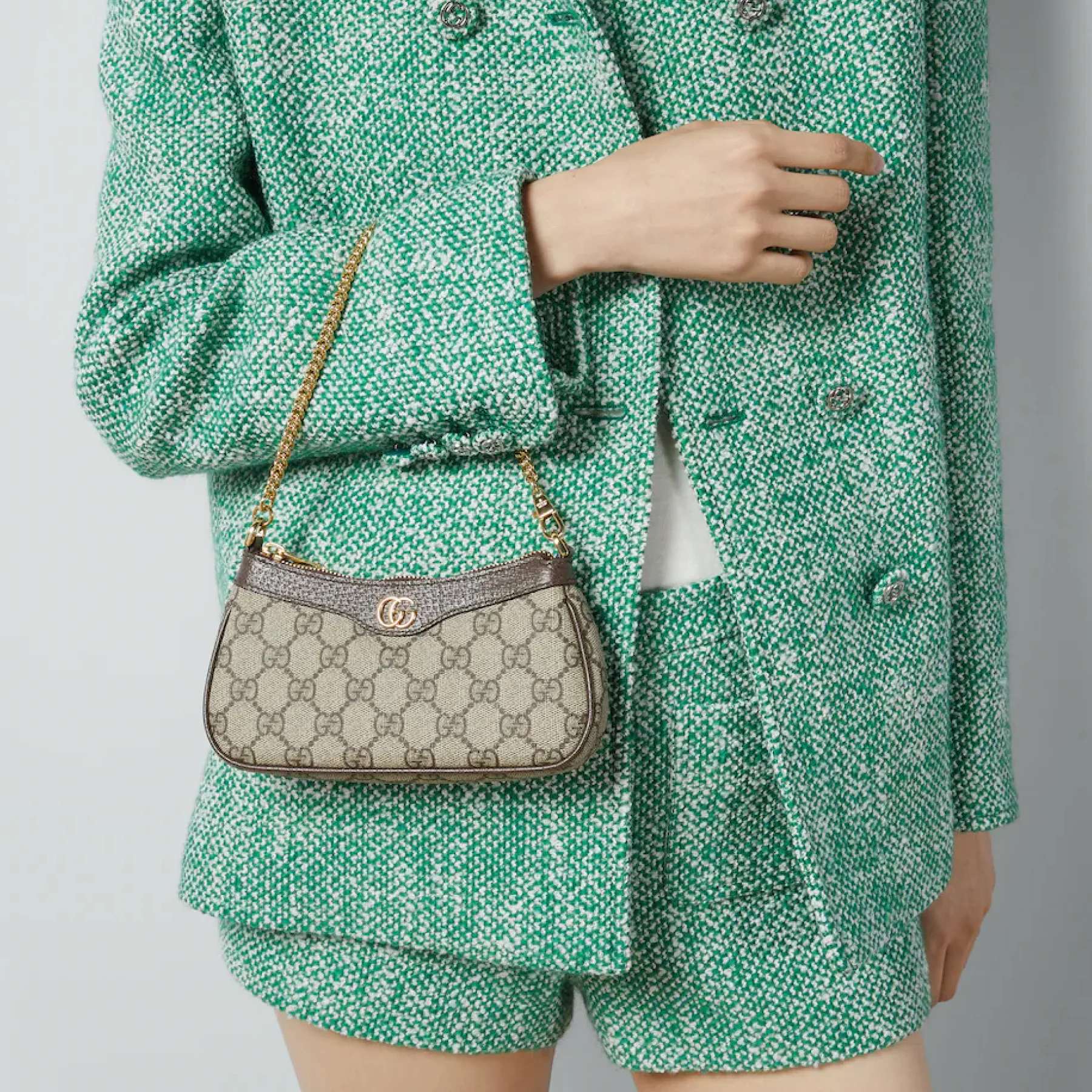 Gucci Ophidia Mini Collection Handbag - Beige And Dark Brown Bag