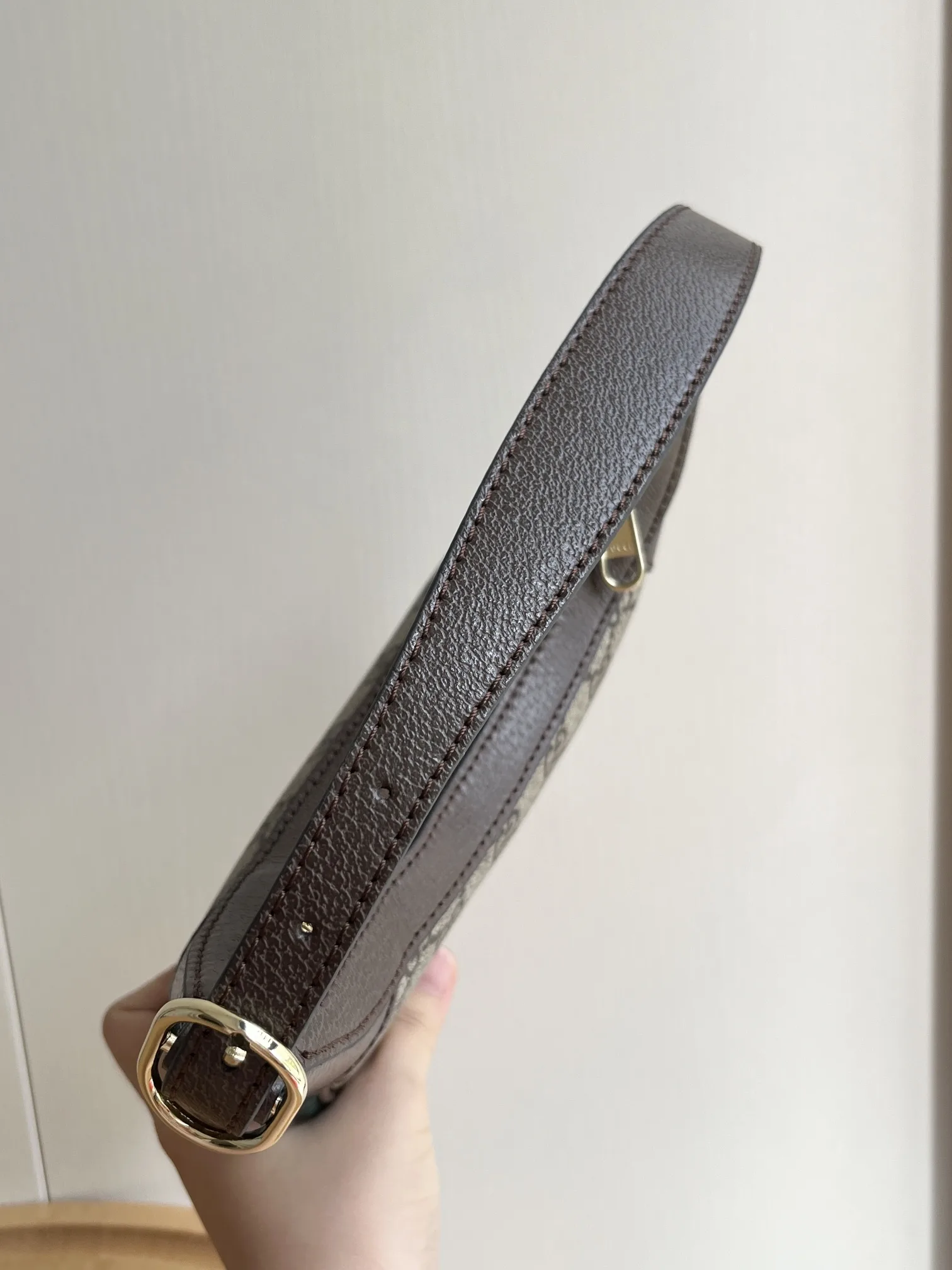 Gucci Ophidia bag