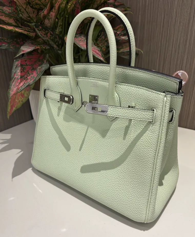 Hermes Birkin Sellier 25 Vert Fizz Epsom Palladium Hardware