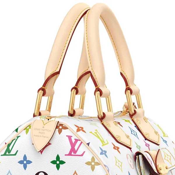 Monogram Multicolore Speedy 30