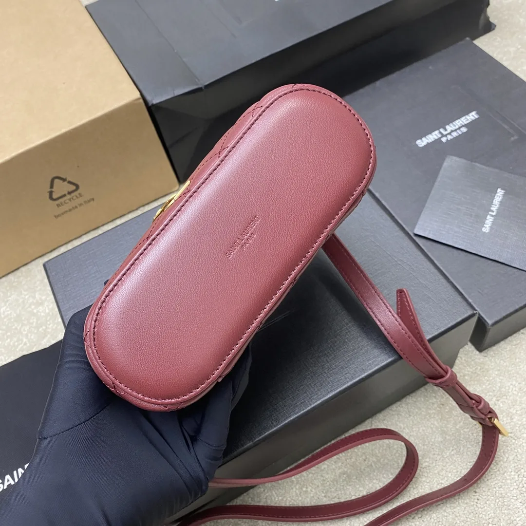 SAINT LAURENT YSL Gaby Vanity Medium Bag